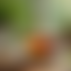 Tasse avec infusion et quelques feuilles de menthe posées à côté