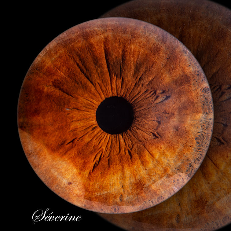 Photo d'iris noisette, partie colorée des yeux, photo prise par Amandine Crochet, photographe