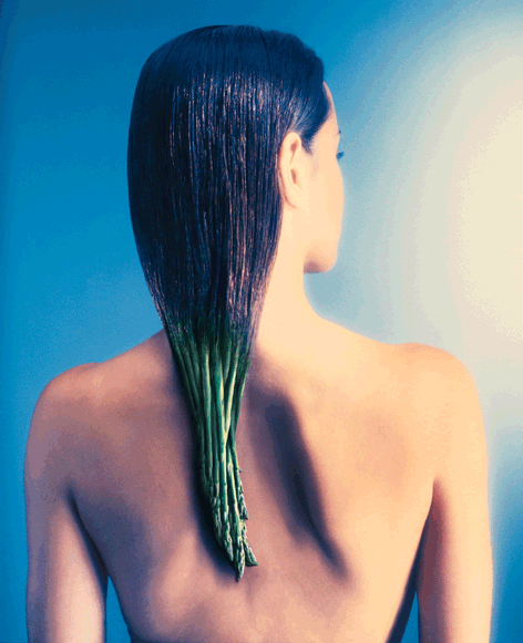 AsparagL.gif