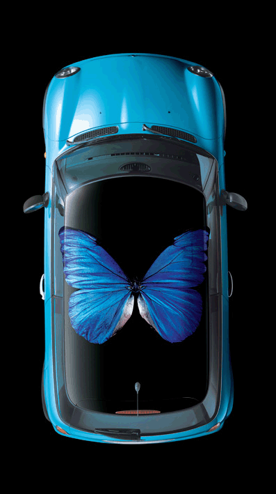 ButterflyMiniL2.gif