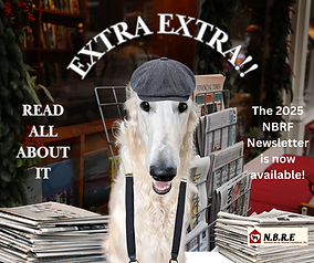 EXTRA EXTRA.png