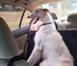 Marinka 3_edited.jpg