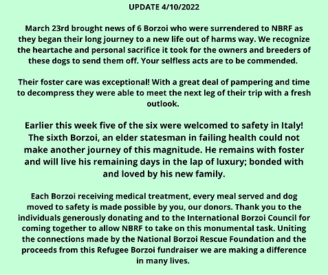 UPDATE 4102022 March 23rd brought news of 6 Borzoi who were surrendered to NBRF as they be