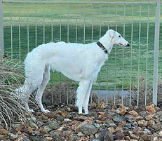 Finley tall and handsome.jpg