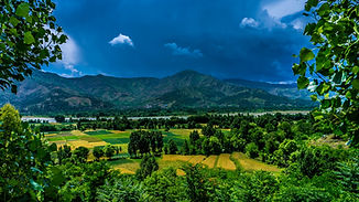 gorgeous vermont.jpeg