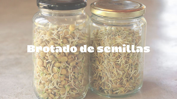 encuentrate natural.jpg