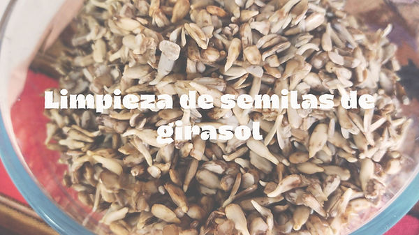 encuentrate natural.jpg
