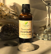 Feed portada (1).jpg