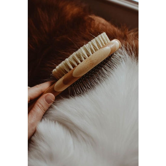 Thumbnail: Dog Brush