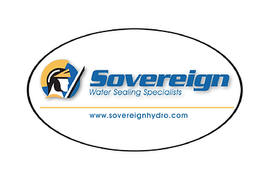 Silver Sponsor
