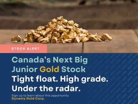 Visible gold discovery sparks Dynasty’s Thundercloud push