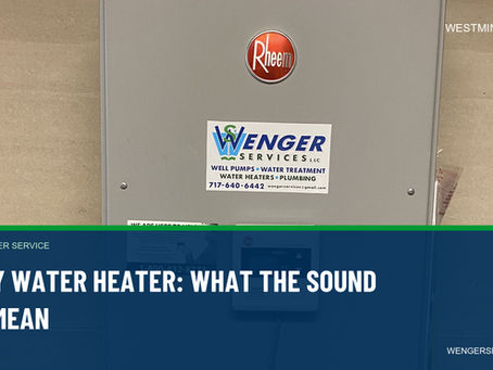 Authentic Wenger Services photo of tankless water heater, gas water heater service, illustrating water-heater noise.