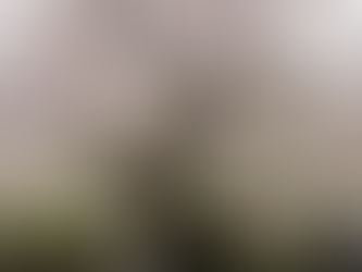 新年度スタート✨️