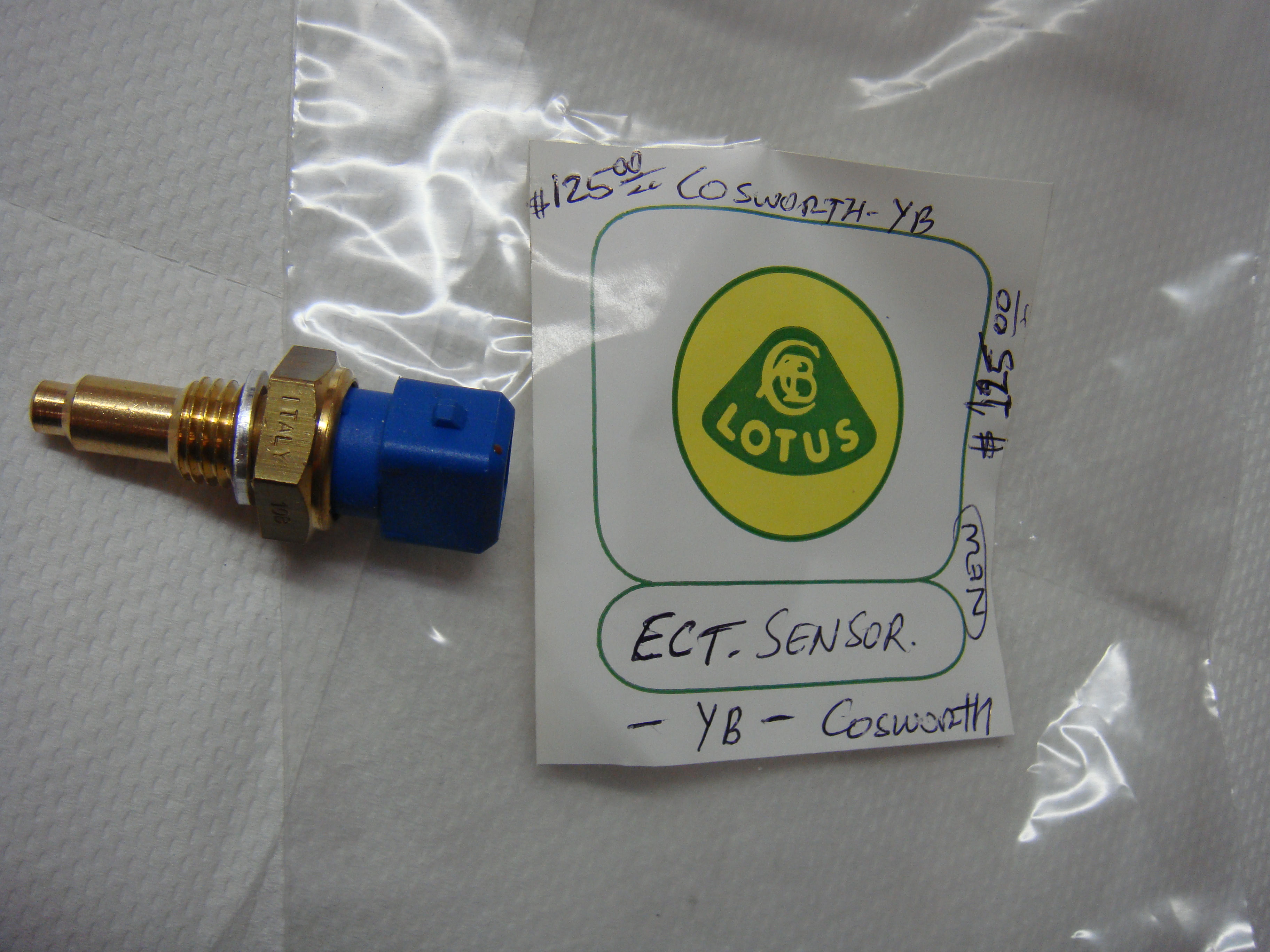 Cosworth ECT Sensor (2WD-YB)