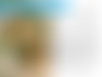 Spaghetti Squash Pad Thai