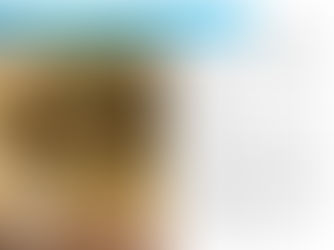 Turkey Stuffed Acorn Squash