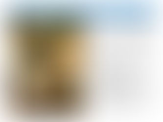 Falafel Pitas with Goat Cheese Yogurt Sauce