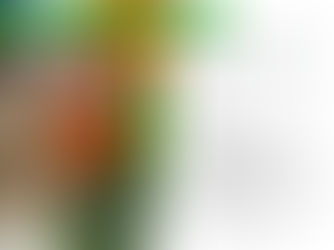 Instant Pot Egg White Bites