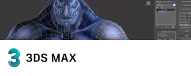 3DS MAX