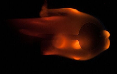 Predict the Products of Combustion