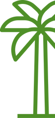 palmera_edited.png
