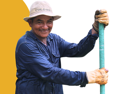 Diseño sin tÃtulo.png