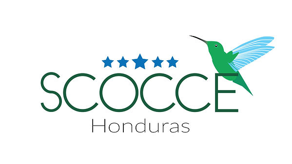 logo scocce.jpg