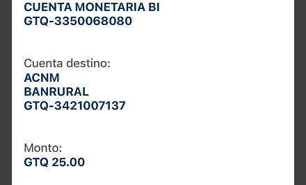 Ejemplo Boleta.jpg