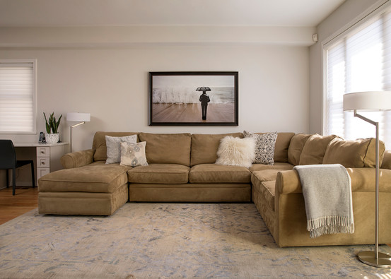 SHIFRIN LIVING ROOM