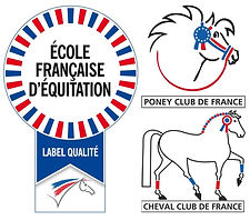 label EFE PCF CCF.jpg