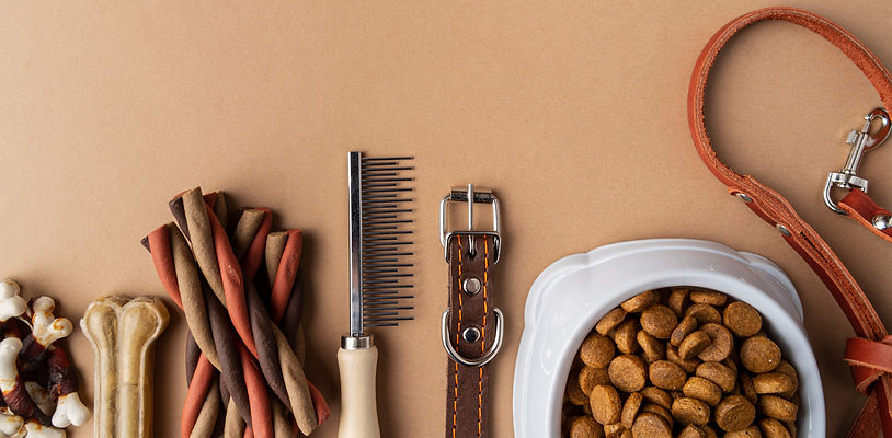 pet-accessories-with-food-bowl-treats_edited.jpg