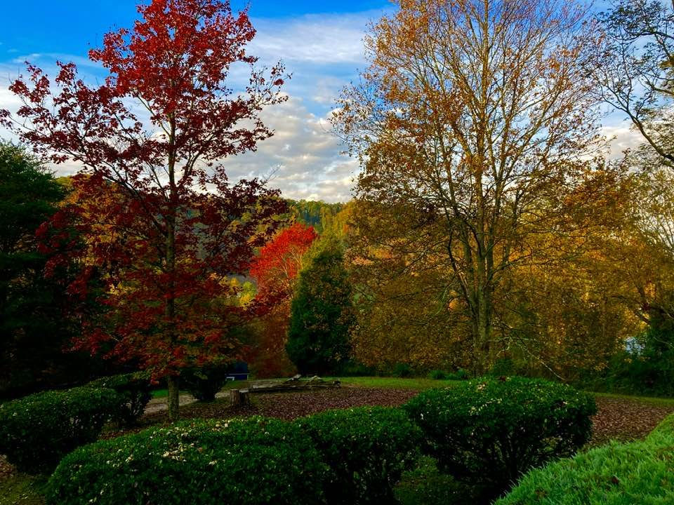 cottage old woodland landscape fall