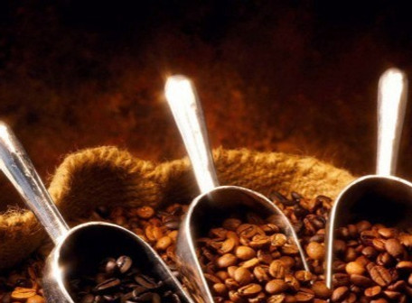 uganda coffee.jpg