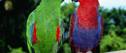 Skin Smoothing Ice Cream for Dry Skin Types