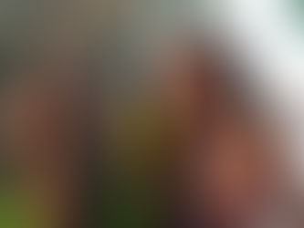 Diogo Defante pergunta por quantos reais a Bella Campos namoraria outro MC. CONFIRA: