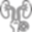 urology.png