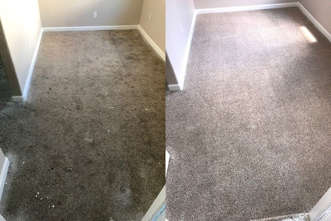 Before and after carpet cleaning