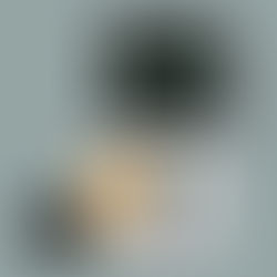 Elevator Pitch : mode d’emploi pour faire forte impression !