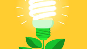 5 « green » résolutions à adopter au bureau !