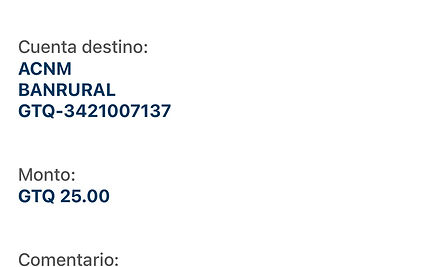Ejemplo Boleta.jpg