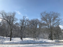 Iowa Snowfall