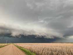 Kansas Shelfie