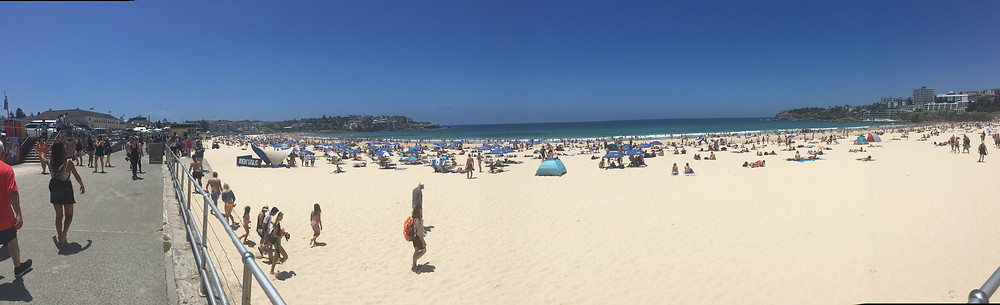 Bondi Beach