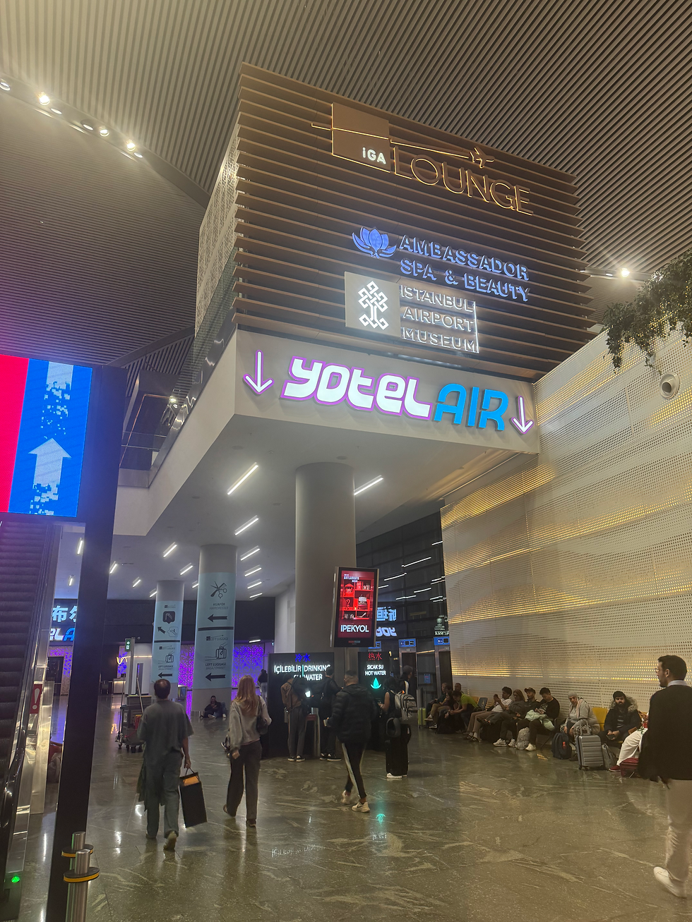 IST Airport Terminal