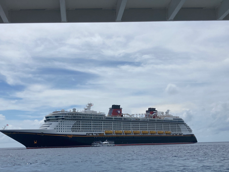 Cruises
