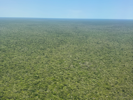 I Flew to Tulum First Class under $70.