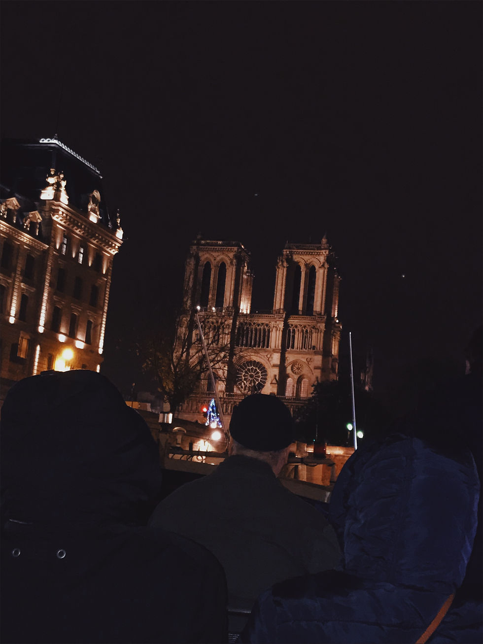 Notre Dame from the Seine River Cruise