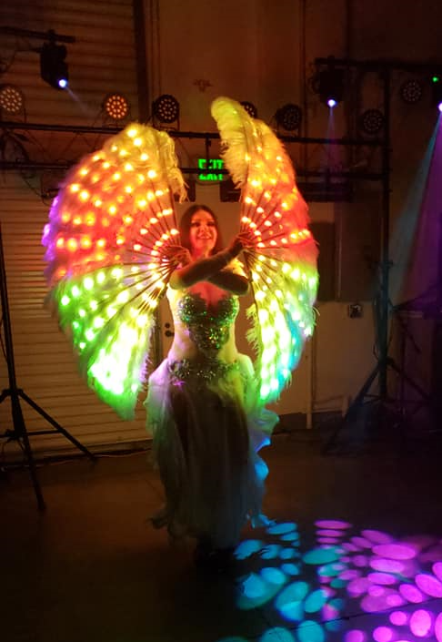 LED Feathers Fan