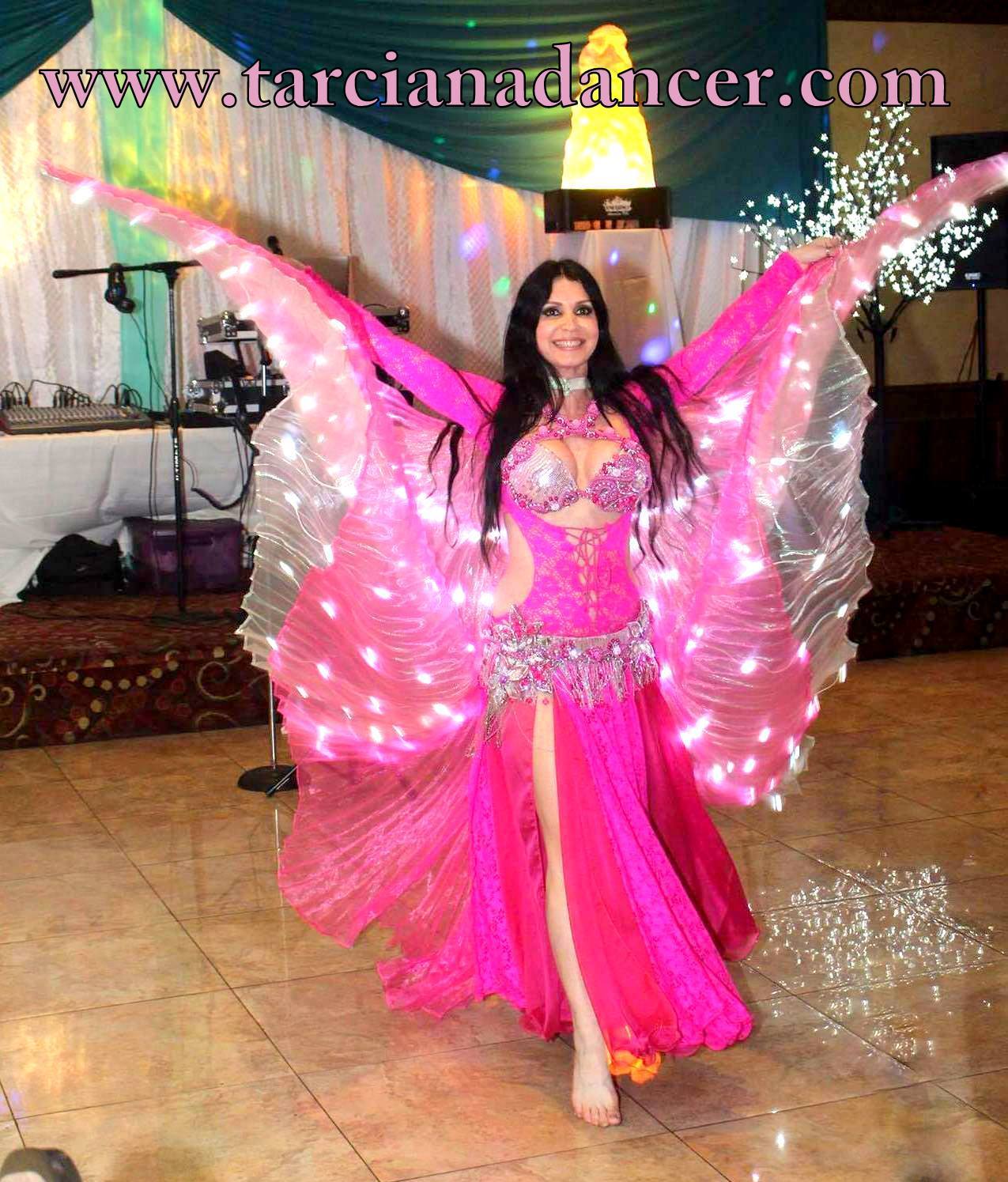 LED wings
