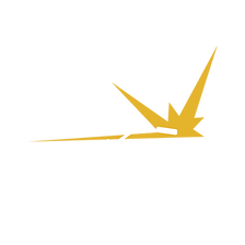 APORTE TIG / MIG CCMI